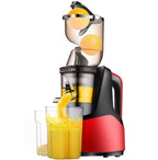 Extracteur de Jus Slow Juicer