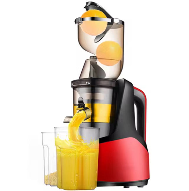 Extracteur de Jus Slow Juicer