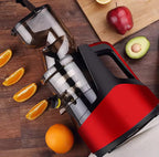Extracteur de Jus Slow Juicer