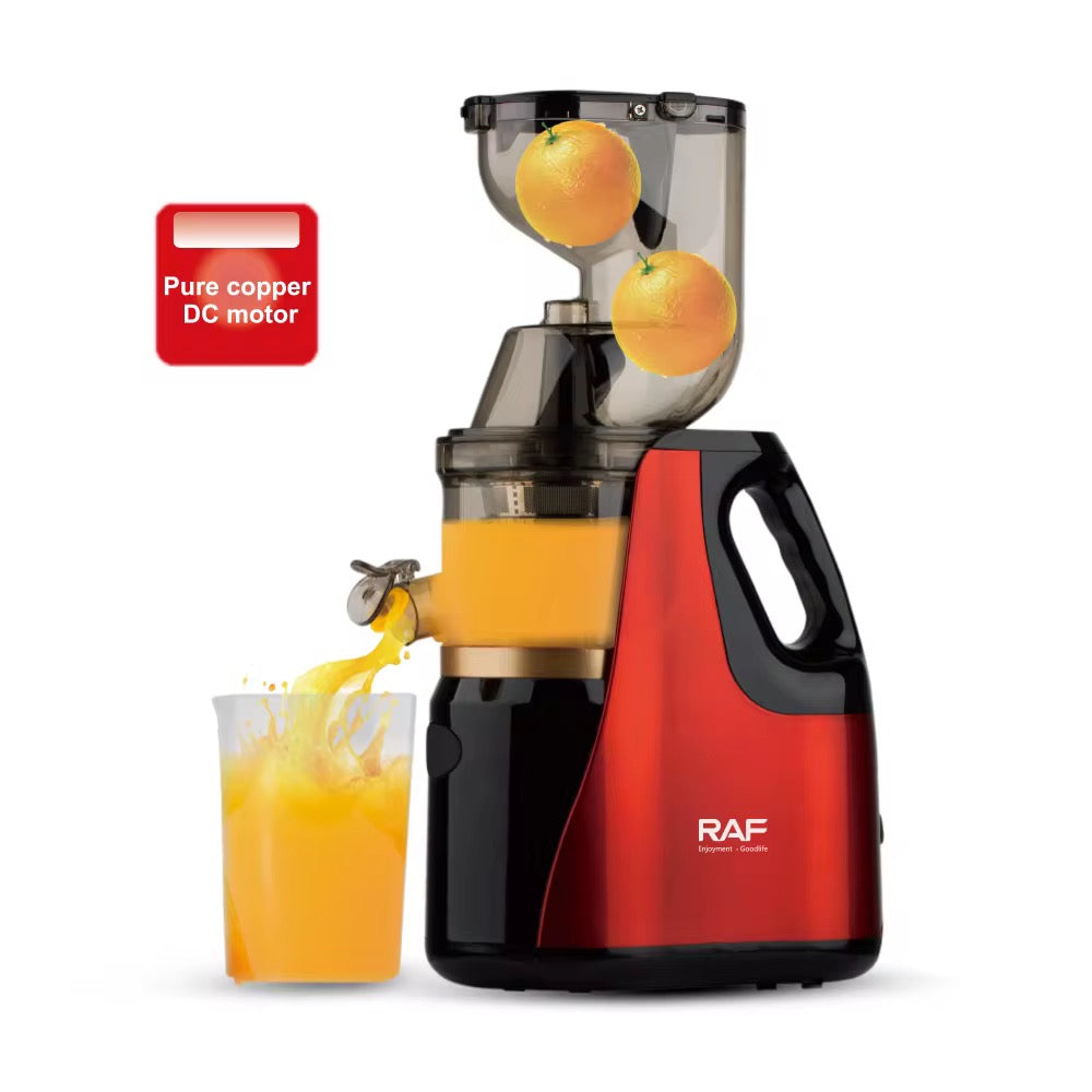 Extracteur de Jus Slow Juicer
